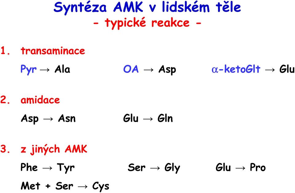 α-ketoglt Glu 2. amidace Asp Asn Glu Gln 3.