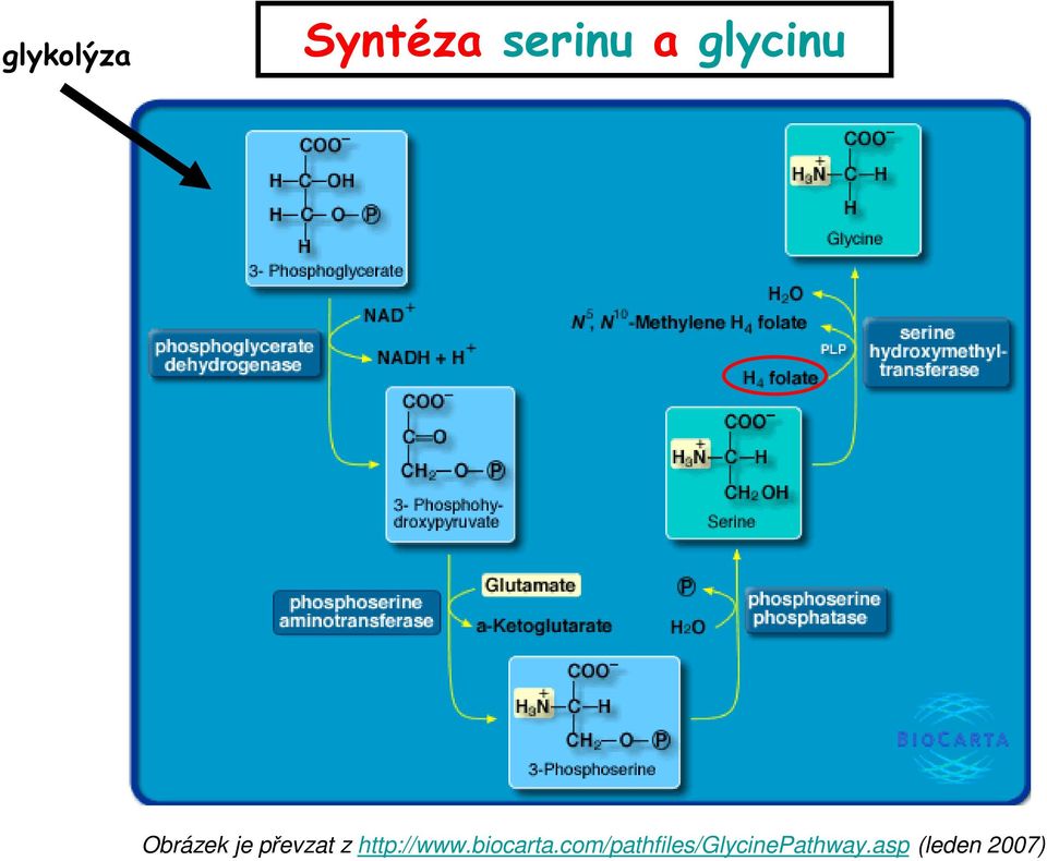 http://www.biocarta.