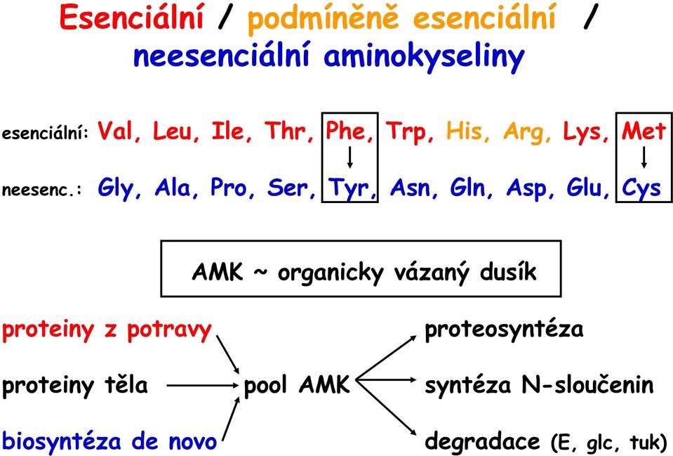 : Gly, Ala, Pro, Ser, Tyr, Asn, Gln, Asp, Glu, Cys AMK ~ organicky vázaný dusík