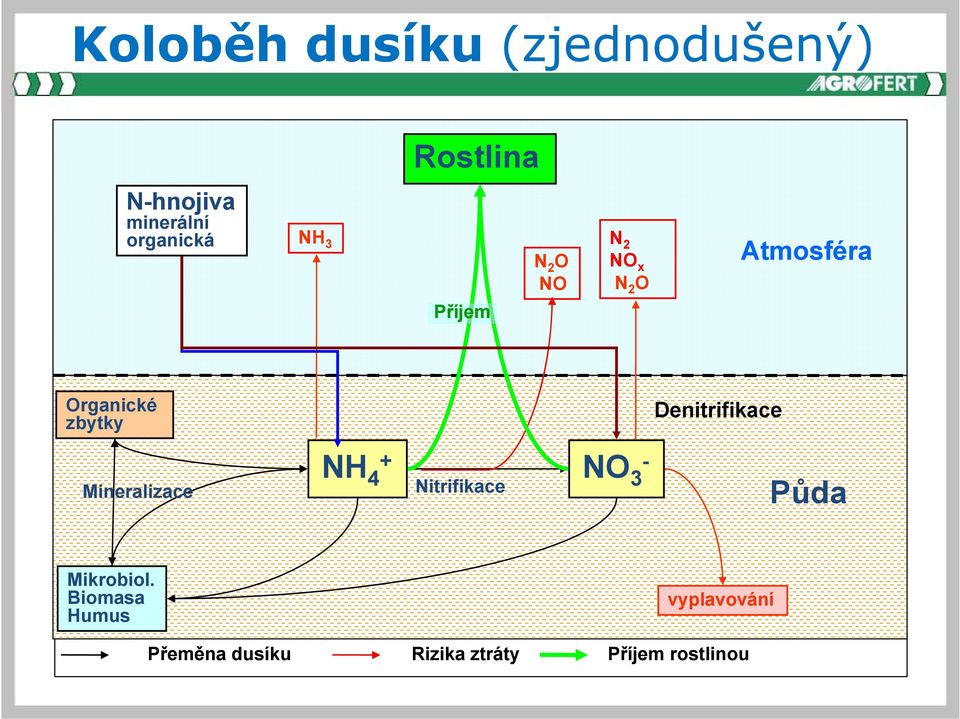 Mineralizace NH 4 + NO 3-4 3 Nitrifikace Denitrifikace Půda