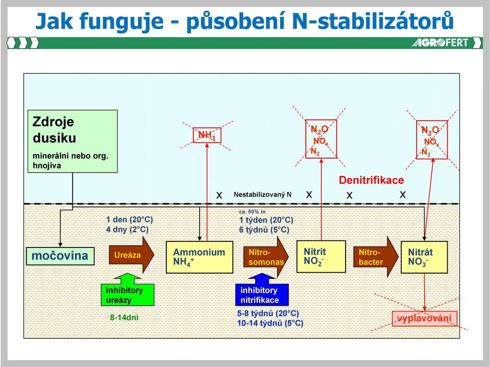 50% in 1 týden (20 C) 6 týdnů (5 C) N 2 O NO x N 2 močovina Ureáza Ammonium NH 4 + Nitrit NO 2 -