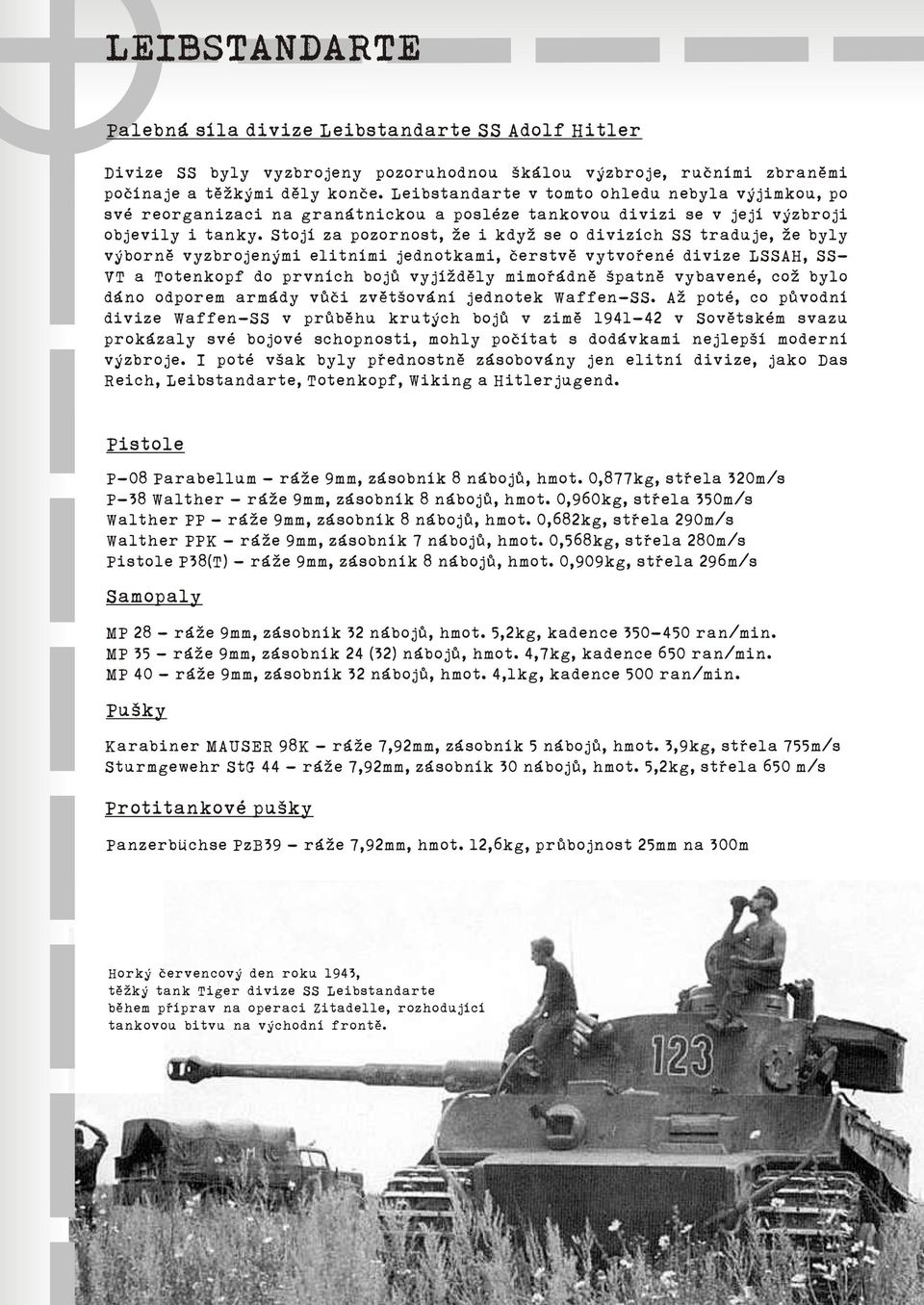 Stojí za pozornost, že i když se o divizích SS traduje, že byly výbornì vyzbrojenými elitními jednotkami, èerstvì vytvoøené divize LSSAH, SS- VT a Totenkopf do prvních bojù vyjíždìly mimoøádnì špatnì