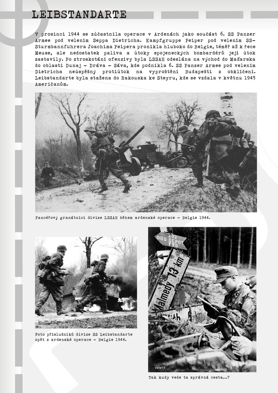 Po ztroskotání ofenzívy byla LSSAH odeslána na východ do Maïarska do oblasti Dunaj - Dráva - Sáva, kde podnikla 6.