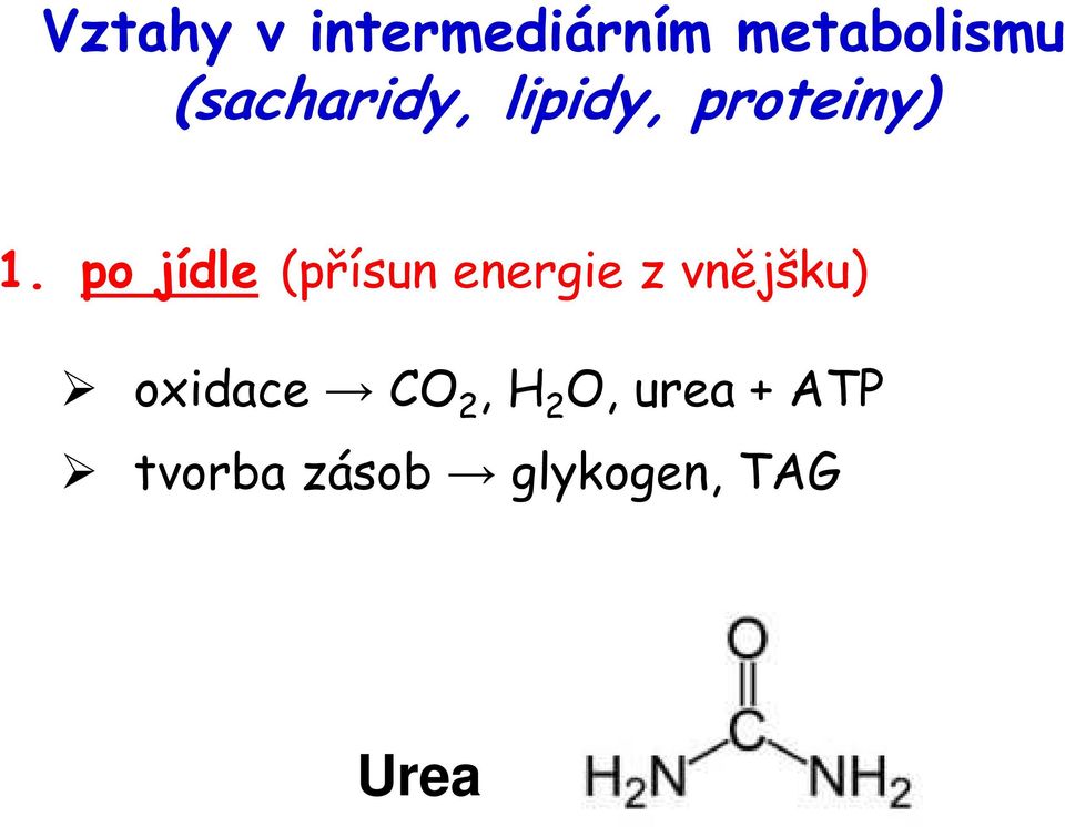 po jídle (přísun energie z vnějšku)