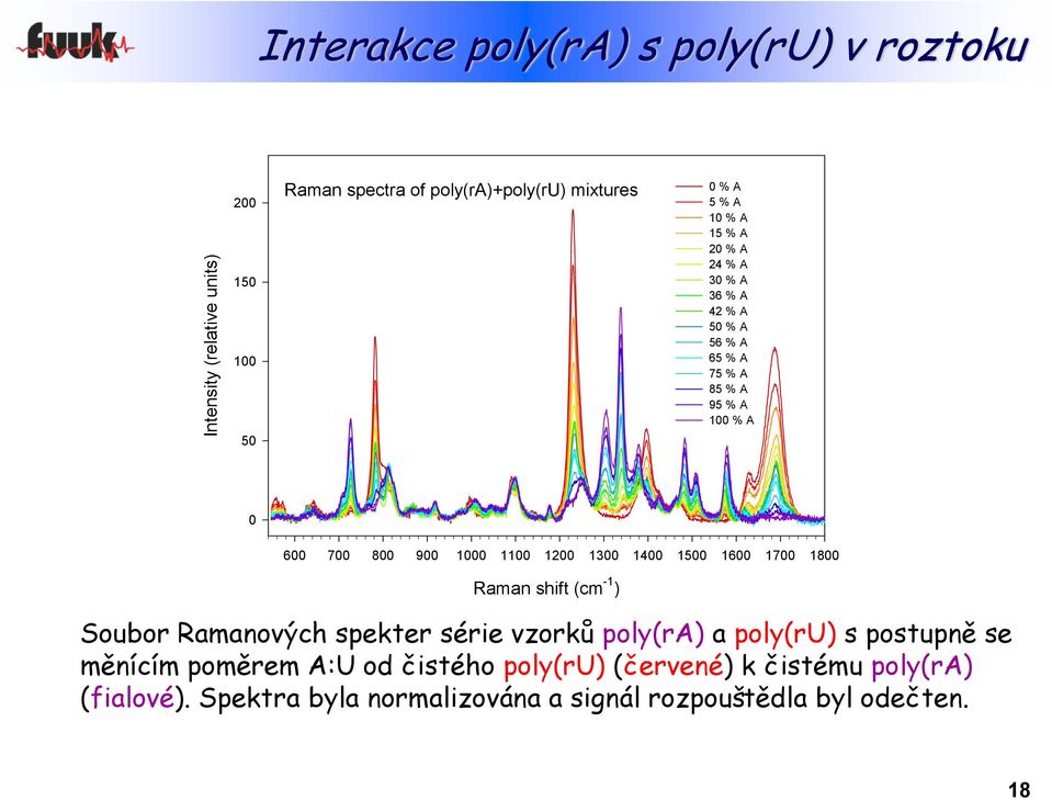 16 17 18 Raman shift (cm -1 ) Soubor Ramanových spekter série vzorků poly(ra) a poly(ru) s postupně se měnícím poměrem A:U