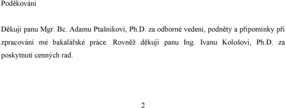 za odborné vedení, podněty a připomínky při