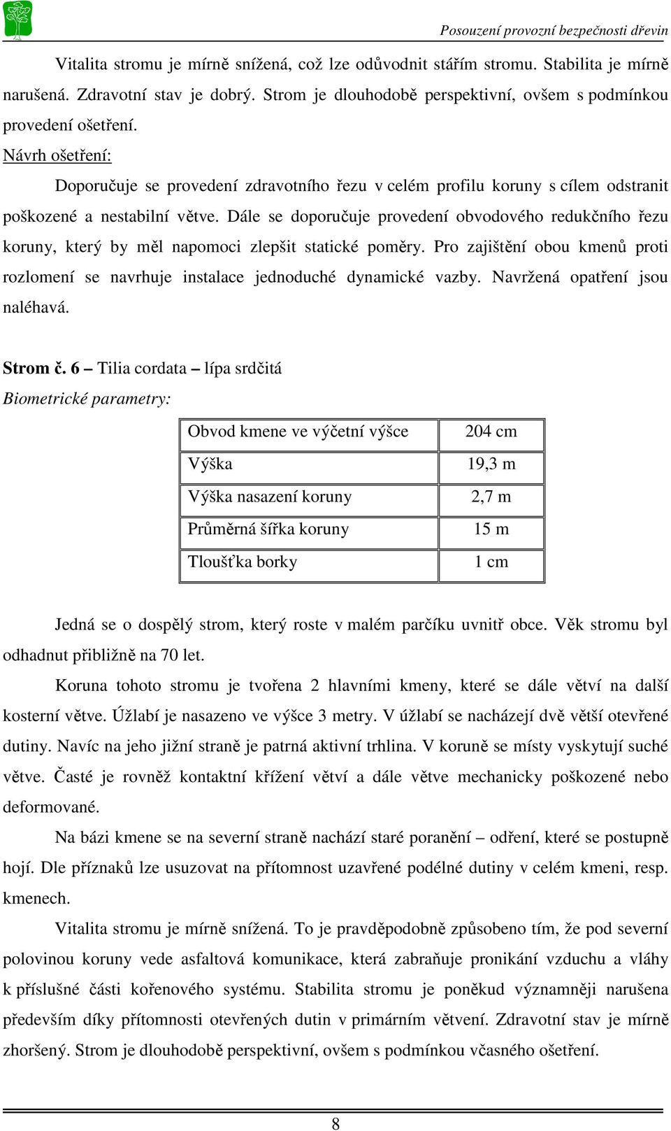 Dále se doporučuje provedení obvodového redukčního řezu koruny, který by měl napomoci zlepšit statické poměry.