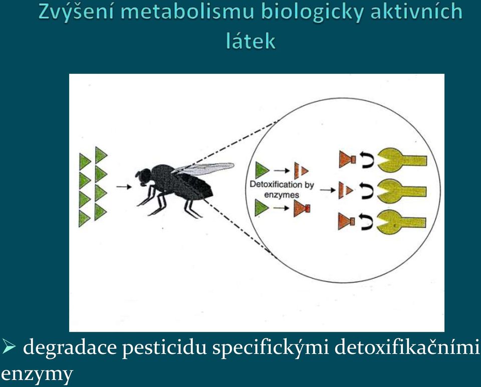 specifickými