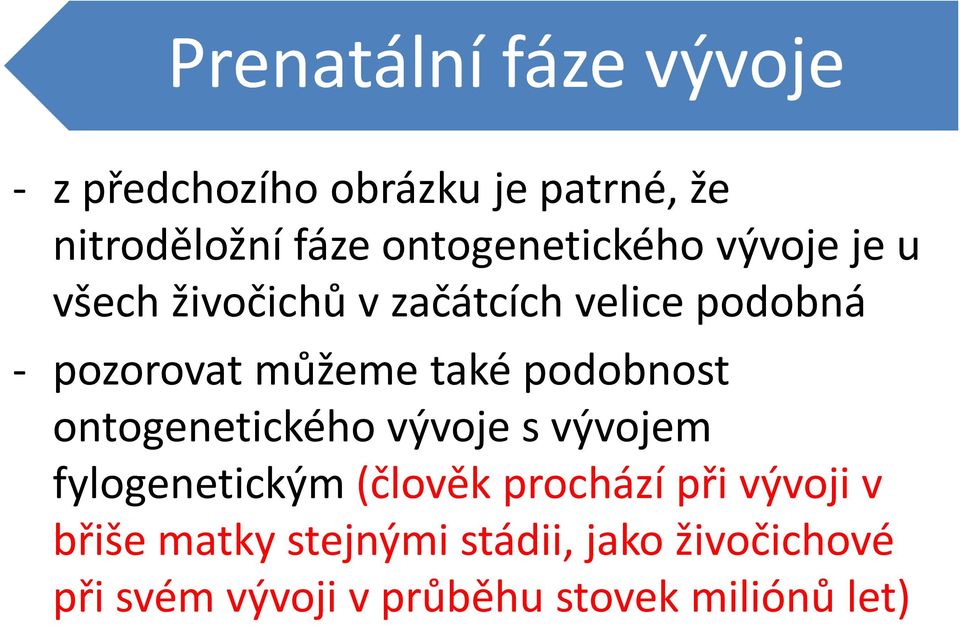 můžeme také podobnost ontogenetického vývoje s vývojem fylogenetickým (člověk prochází