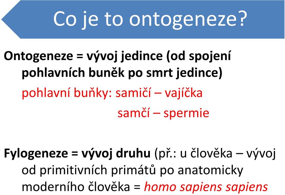 jedince) pohlavní buňky: samičí vajíčka samčí spermie Fylogeneze