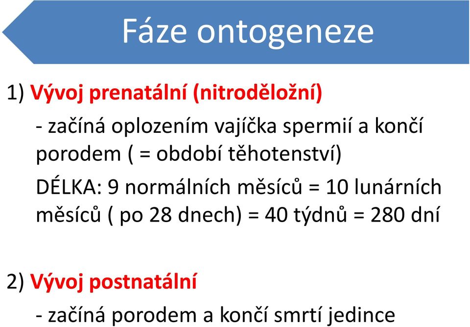 DÉLKA: 9 normálních měsíců = 10 lunárních měsíců ( po 28 dnech) =