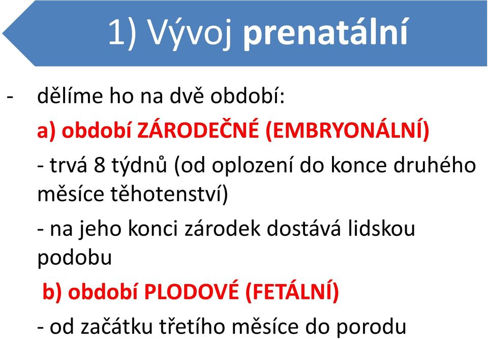 druhého měsíce těhotenství) - na jeho konci zárodek dostává