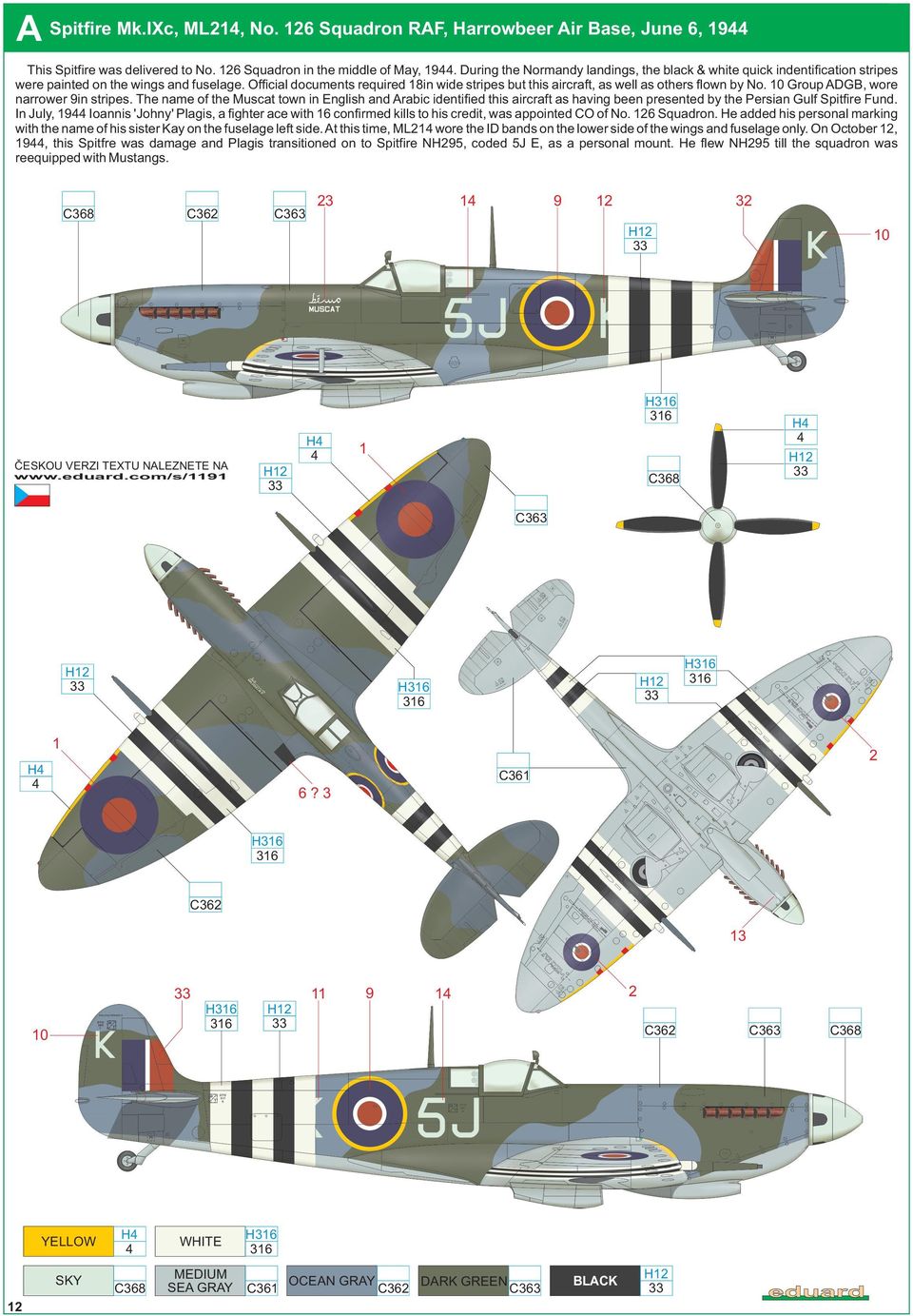 Official documents required 18in wide stripes but this aircraft, as well as others flown by No. 10 Group AGB, wore narrower 9in stripes.