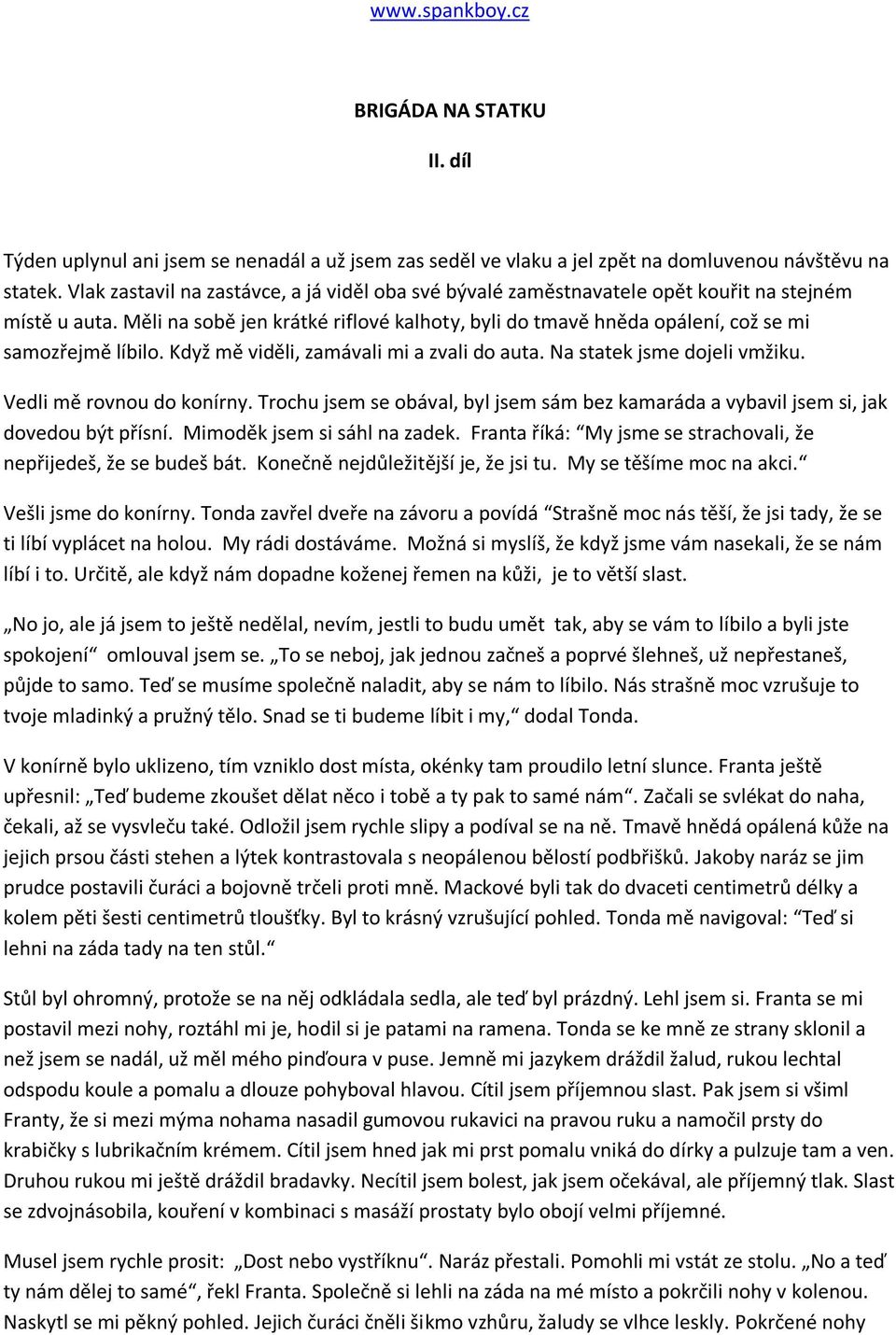 Měli na sobě jen krátké riflové kalhoty, byli do tmavě hněda opálení, což se mi samozřejmě líbilo. Když mě viděli, zamávali mi a zvali do auta. Na statek jsme dojeli vmžiku.