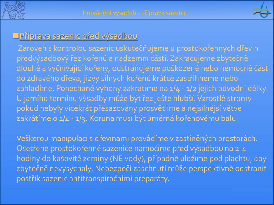 Ponechané výhony zakrátíme na 1/4-1/2 jejich původní délky. U jarního termínu výsadby může být řez ještě hlubší.