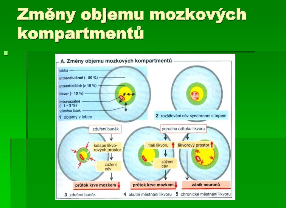 mozkových