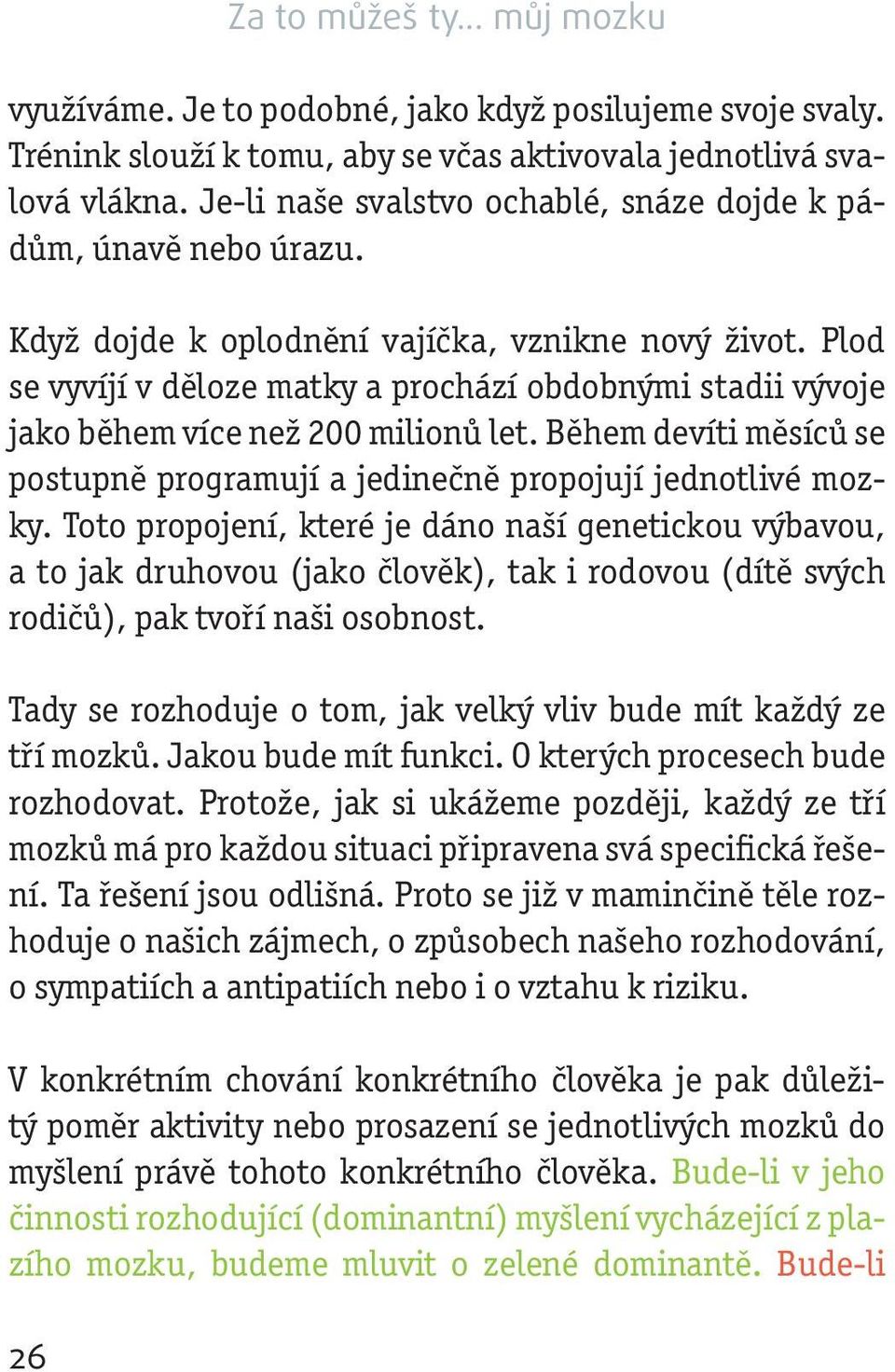 Plod se vyvíjí v děloze matky a prochází obdobnými stadii vývoje jako během více než 200 milionů let. Během devíti měsíců se postupně programují a jedinečně propojují jednotlivé mozky.