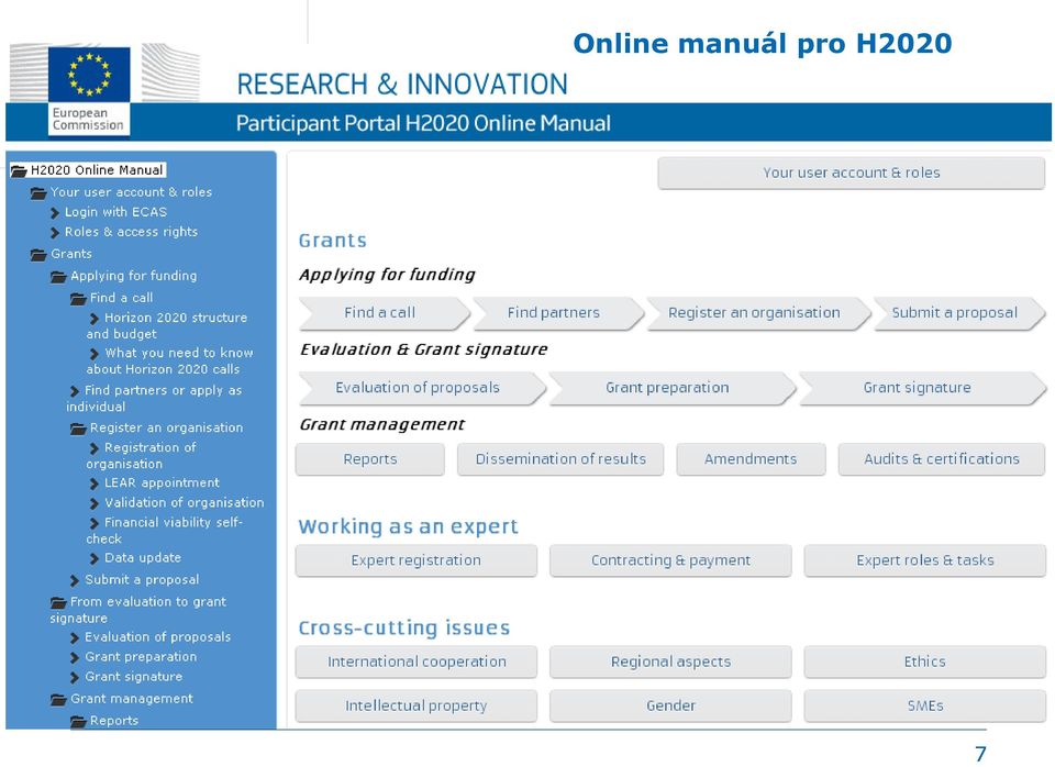 pro H2020