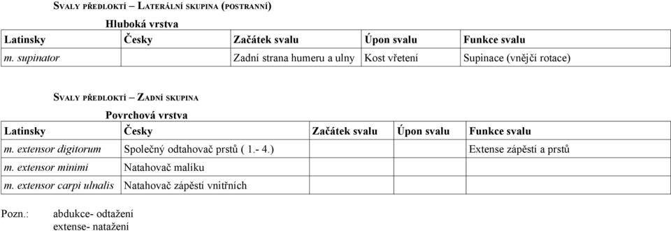 SKUPINA Povrchová vrstva m. extensor digitorum Společný odtahovač prstů ( 1.- 4.