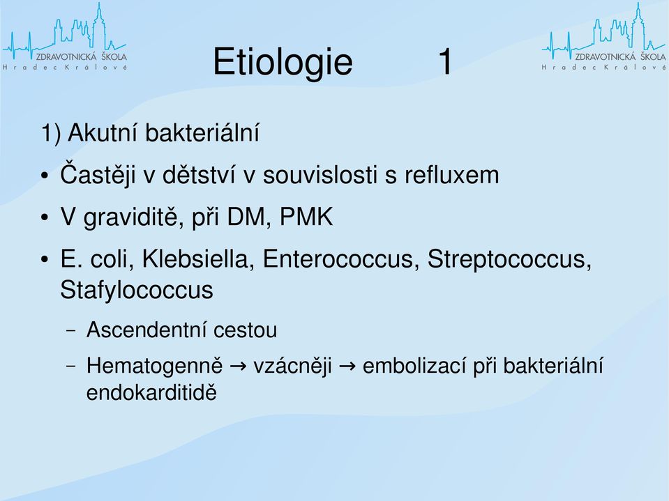 coli, Klebsiella, Enterococcus, Streptococcus, Stafylococcus