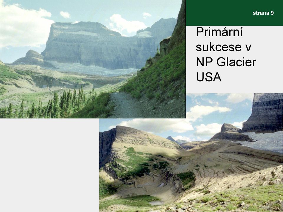 NP Glacier