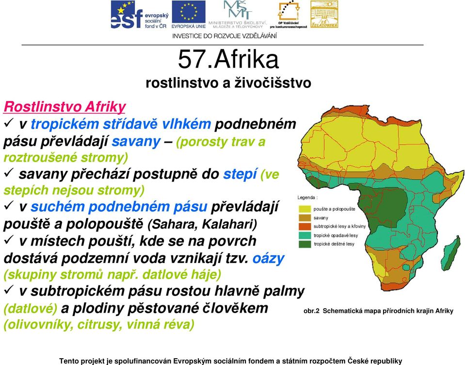 57.Afrika rostlinstvo a živočišstvo Tento projekt je spolufinancován  Evropským sociálním fondem a státním rozpočtem České republiky - PDF Free  Download