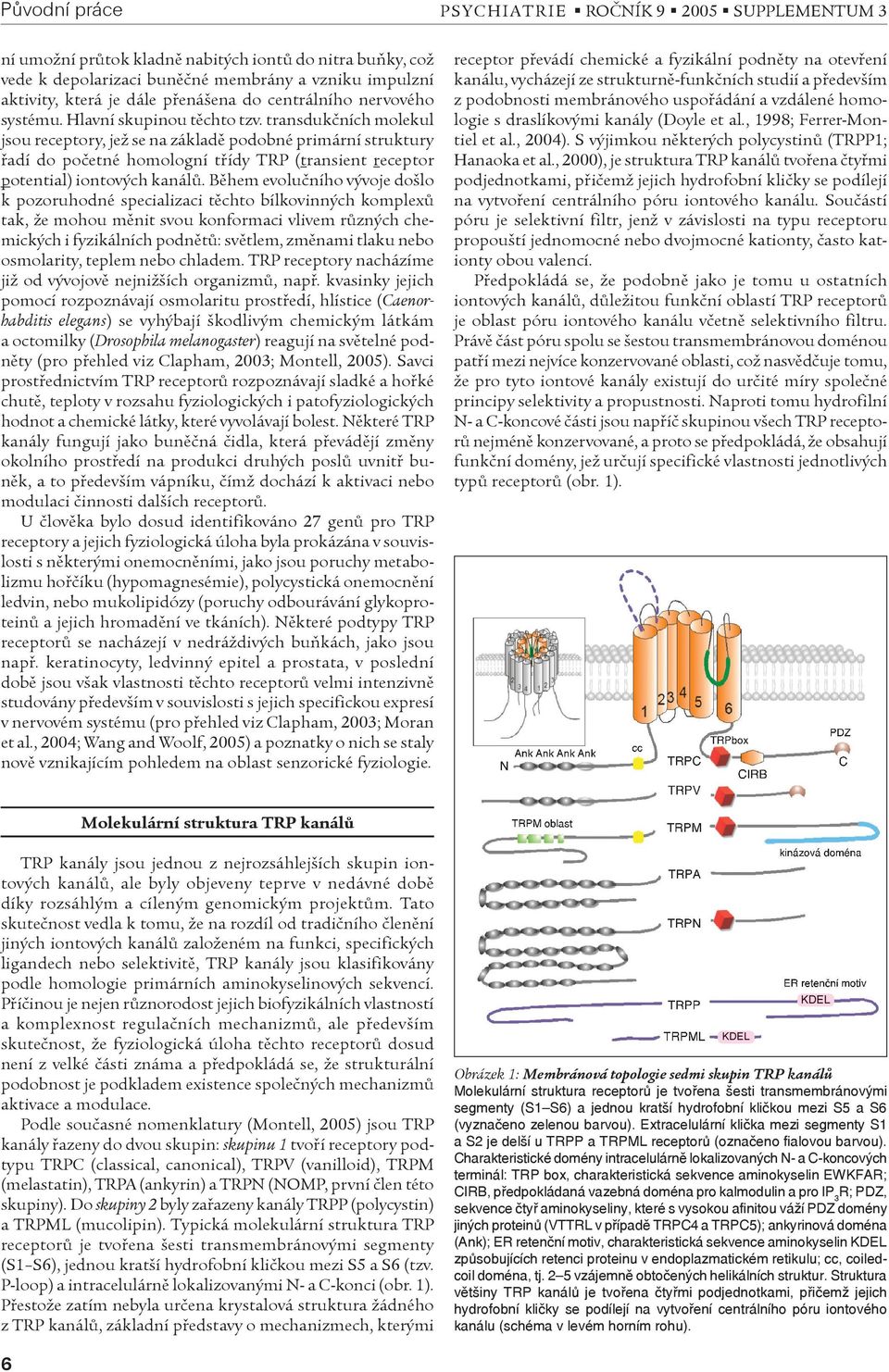 transdukèních molekul jsou receptory, jež se na základì podobné primární struktury øadí do poèetné homologní tøídy TRP (transient receptor potential) iontových kanálù.
