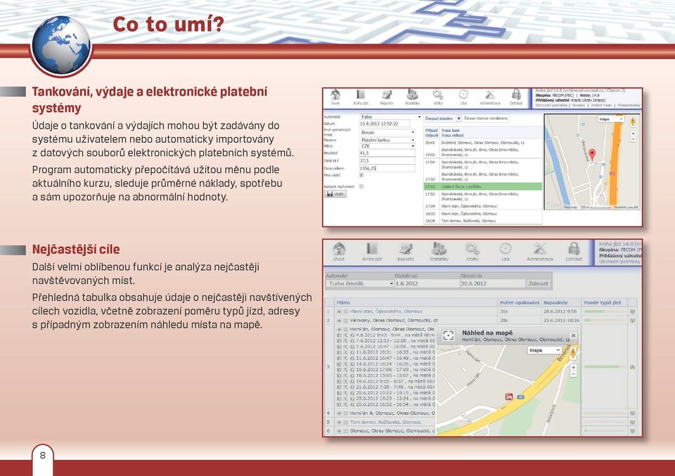 datových souborů elektronických platebních systémů.