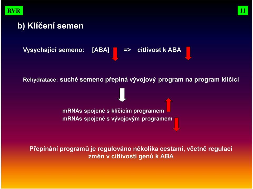 spojené s klíčícím programem mrnas spojené s vývojovým programem Přepínání