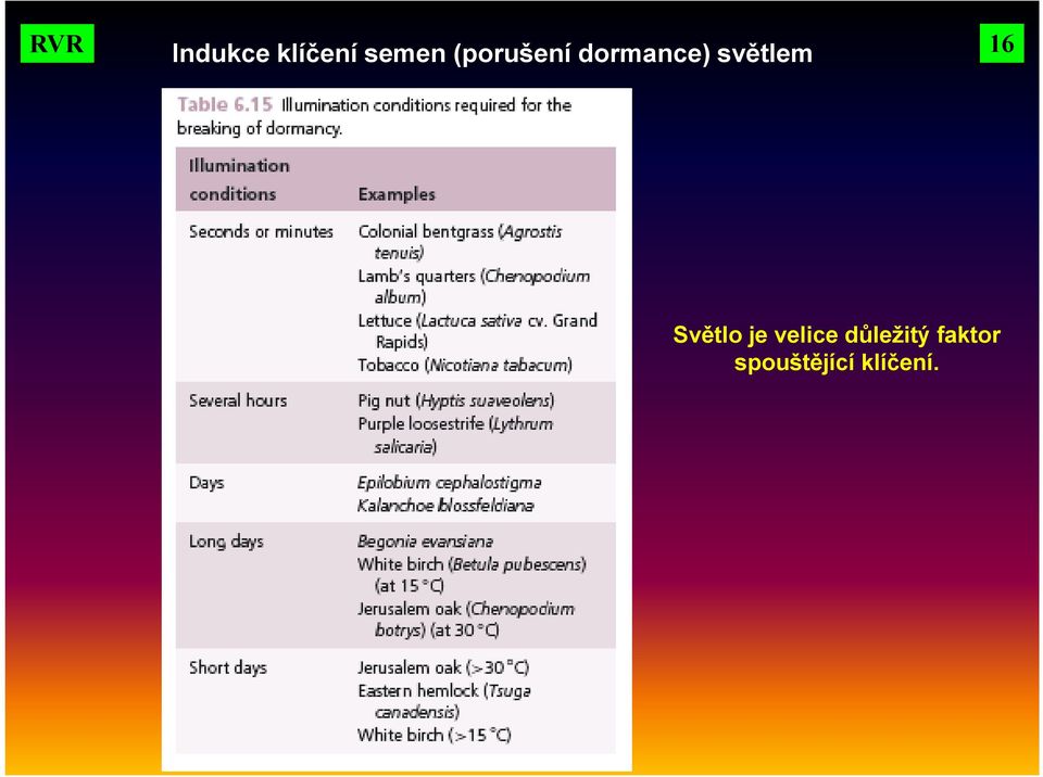 světlem 16 Světlo je