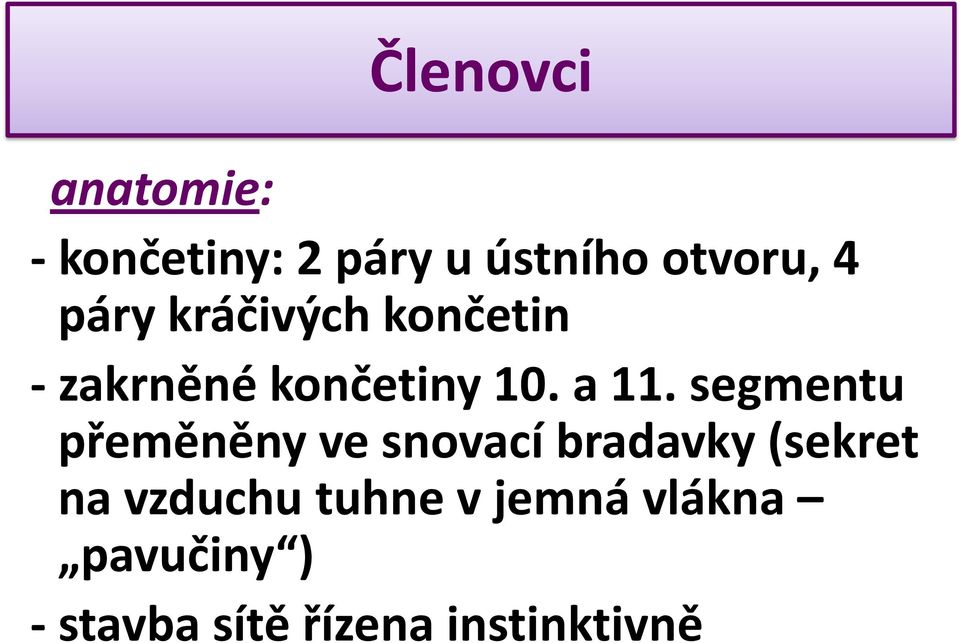 segmentu přeměněny ve snovací bradavky (sekret na