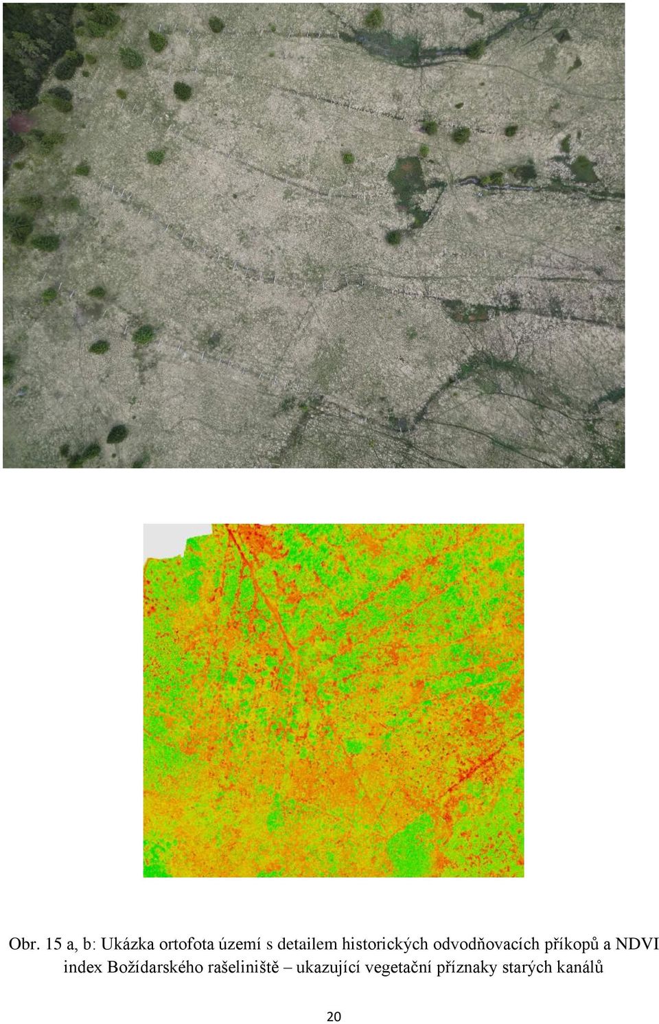 příkopů a NDVI index Božídarského