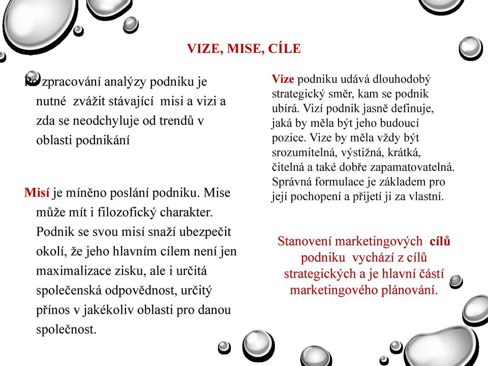 Podnik se svou misí snaţí ubezpečit okolí, ţe jeho hlavním cílem není jen maximalizace zisku, ale i určitá společenská odpovědnost, určitý přínos v jakékoliv oblasti pro danou společnost.