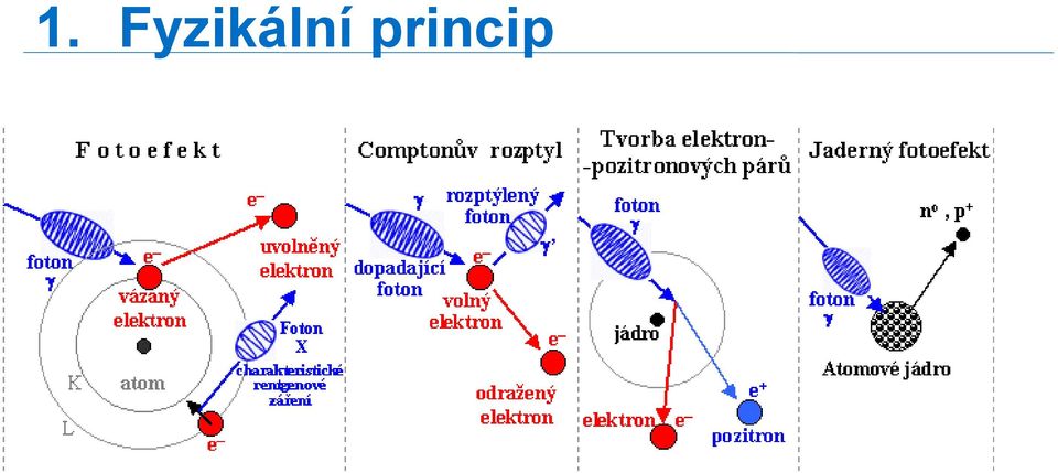 princip