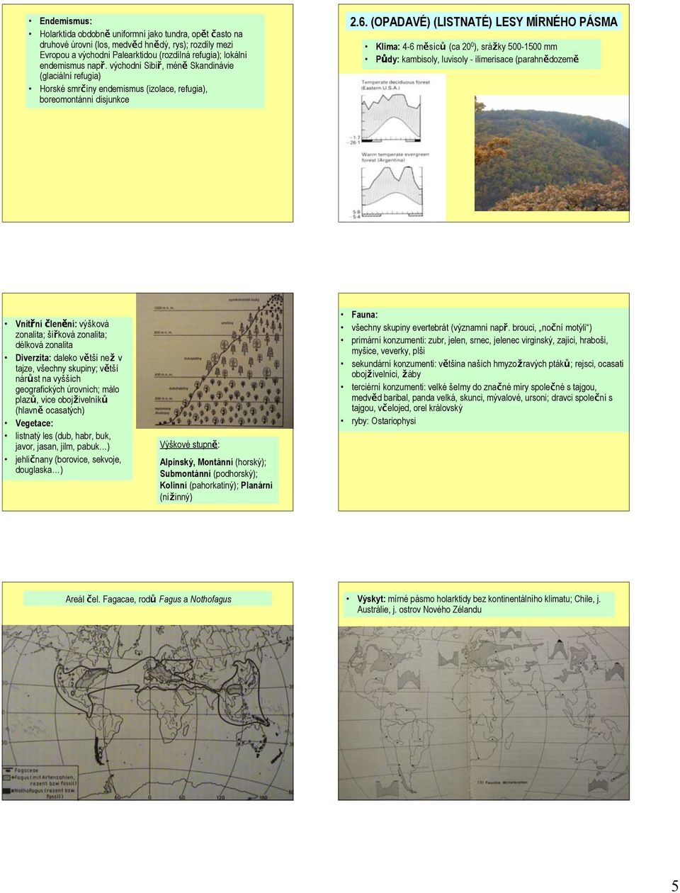 (OPADAVÉ) (LISTNATÉ) LESY MÍRNÉHO PÁSMA Klima: 4-6 měsíců (ca 20 0 ), srážky 500-1500 mm Půdy: kambisoly, luvisoly - ilimerisace (parahnědozemě Vnitřní členění: výšková zonalita; šířková zonalita;