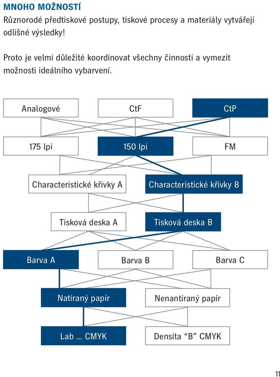 Proto je velmi důležité koordinovat všechny činnosti a vymezit možnosti ideálního vybarvení.
