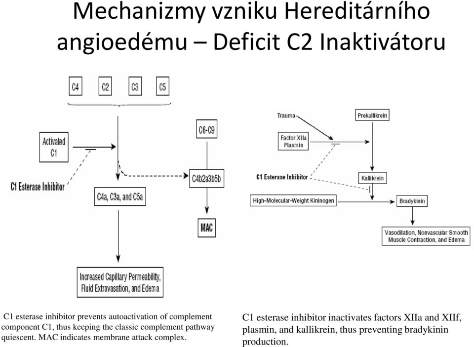 pathway quiescent. MAC indicates membrane attack complex.