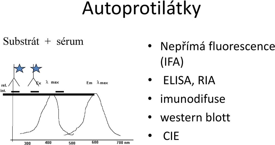 fluorescence (IFA)