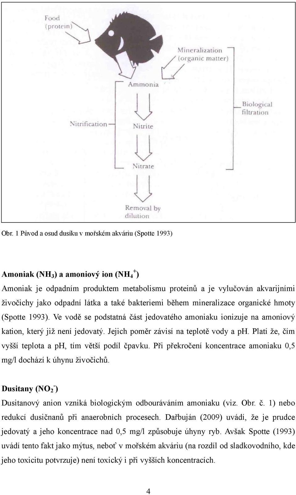 Jejich poměr závisí na teplotě vody a ph. Platí že, čím vyšší teplota a ph, tím větší podíl čpavku. Při překročení koncentrace amoniaku 0,5 mg/l dochází k úhynu živočichů.