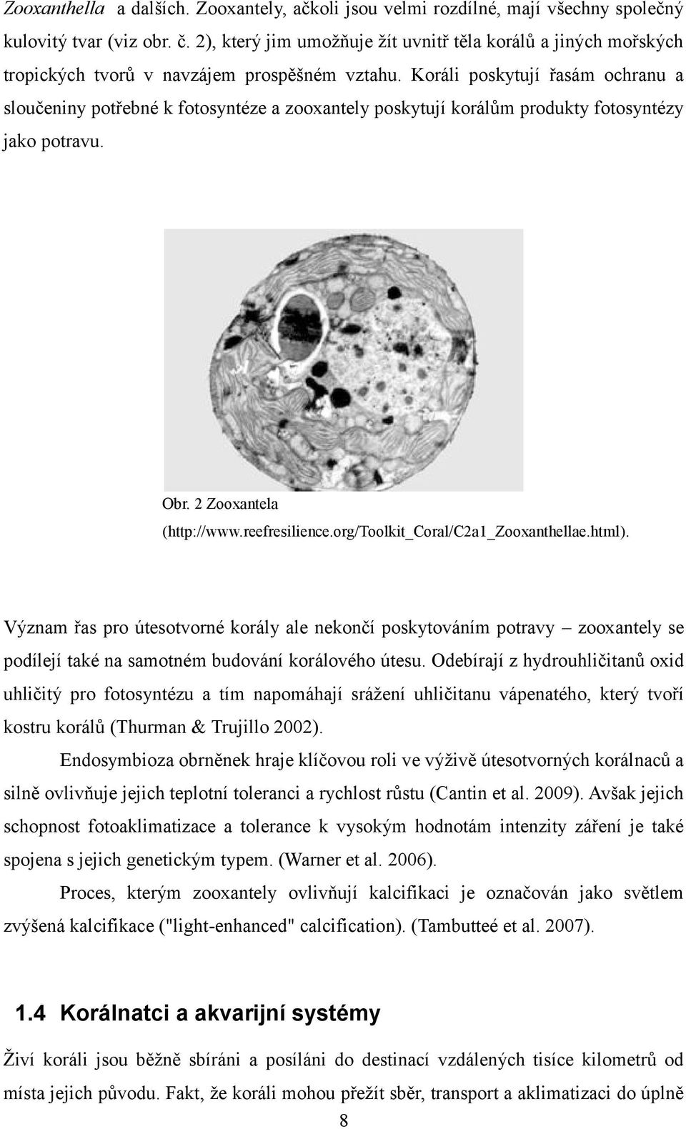 Koráli poskytují řasám ochranu a sloučeniny potřebné k fotosyntéze a zooxantely poskytují korálům produkty fotosyntézy jako potravu. Obr. 2 Zooxantela (http://www.reefresilience.