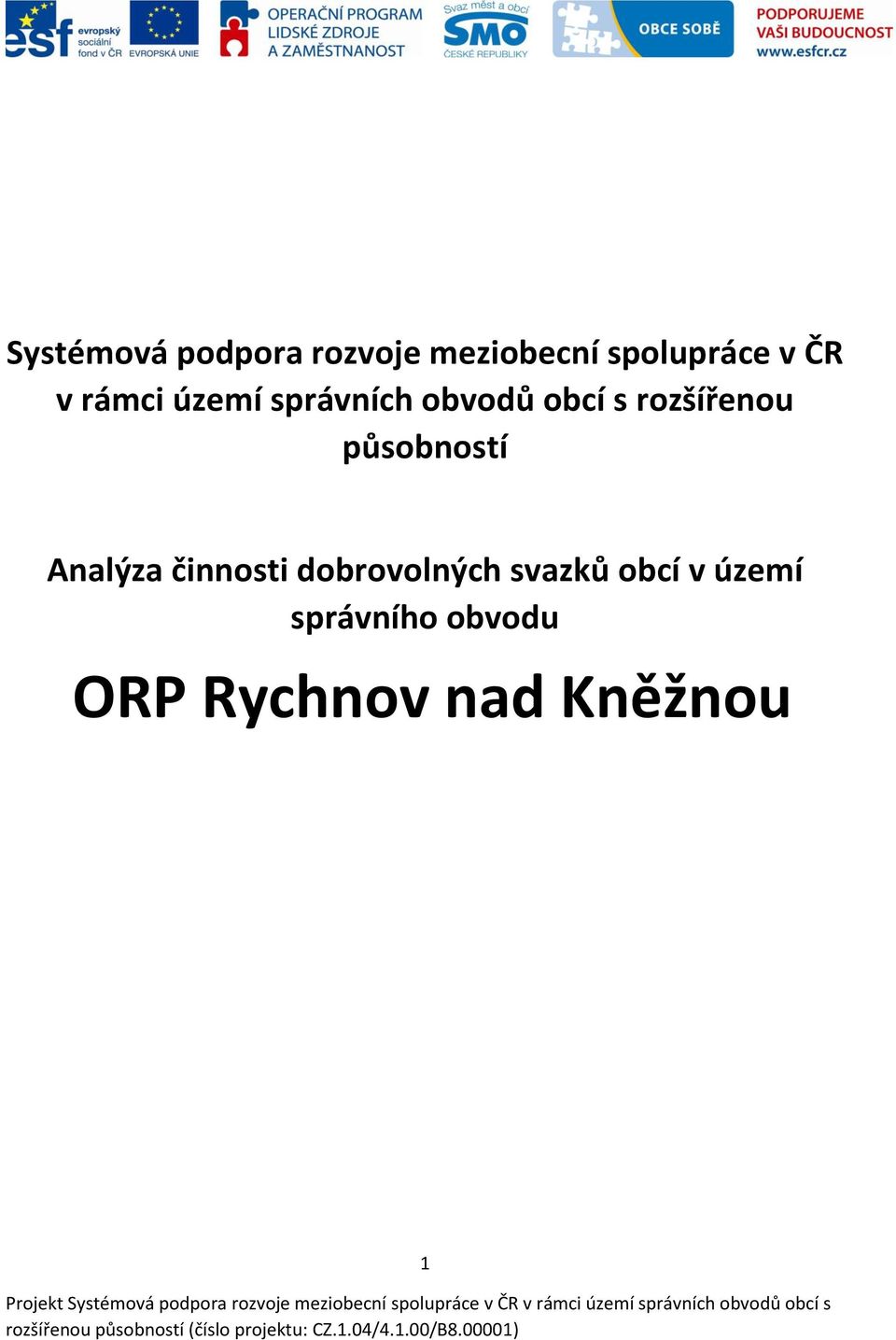 obcí s rozšířenou působností Analýza činnosti