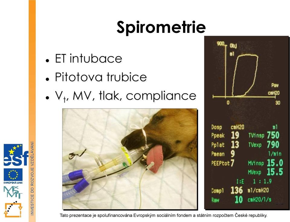 trubice V t, MV,