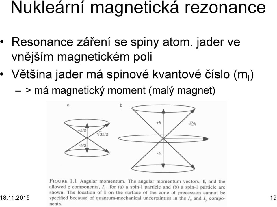 spinové kvantové číslo (m l ) > má magnetický moment