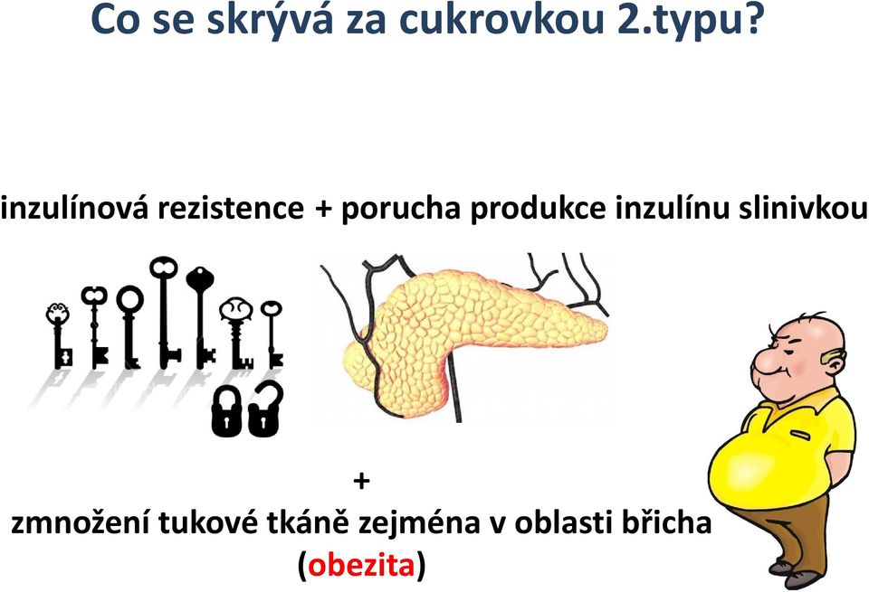produkce inzulínu slinivkou +