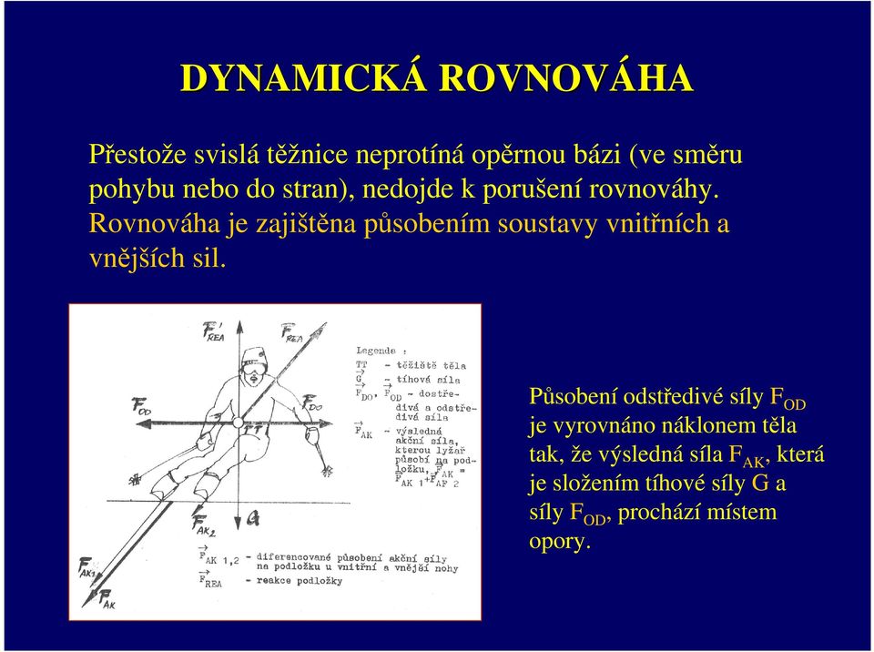 Rovnováha je zajištěna působením soustavy vnitřních a vnějších sil.