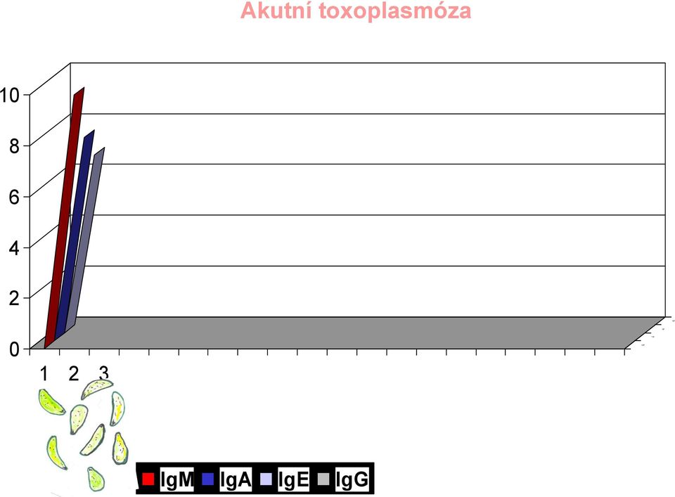 toxoplasmóza 10 8