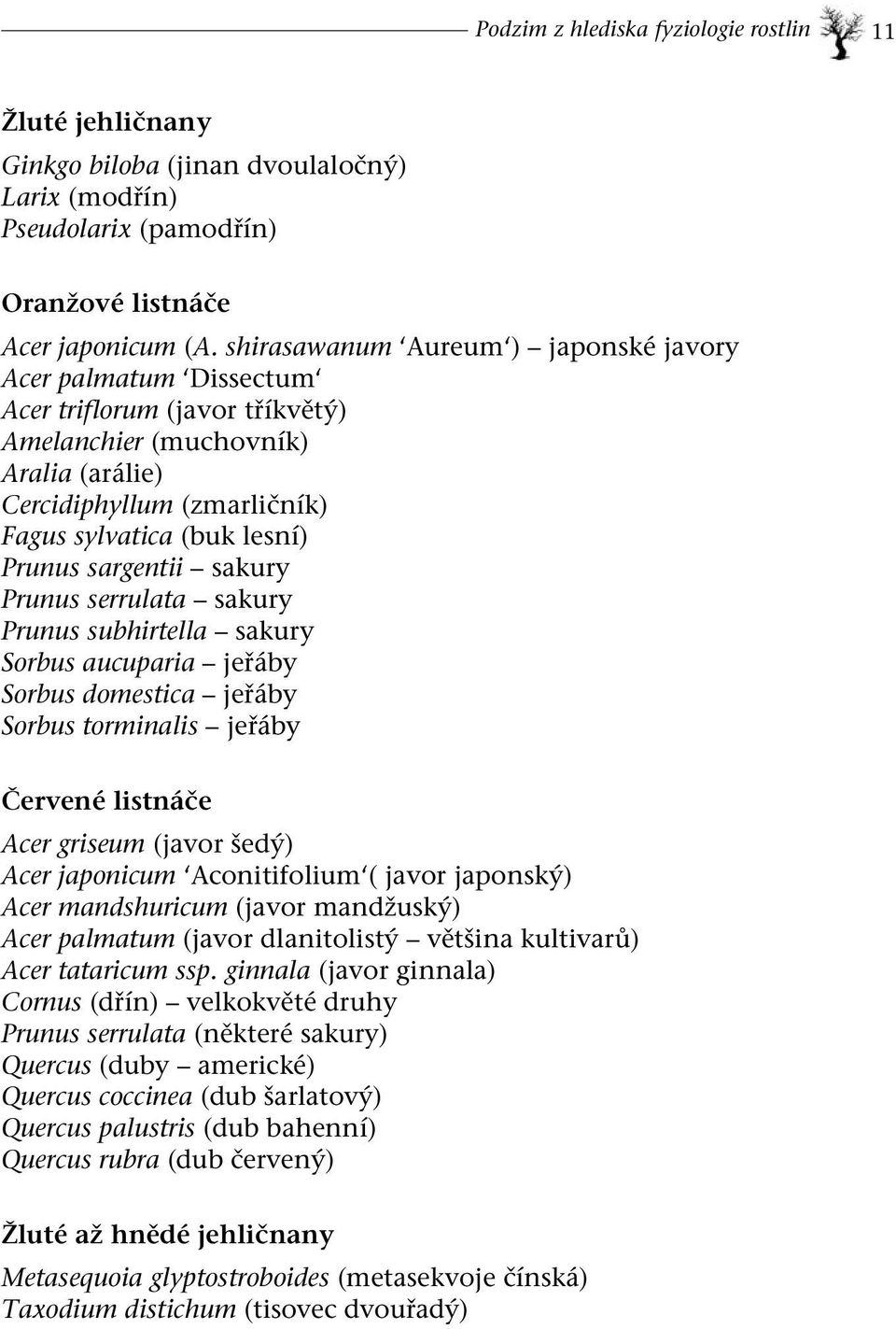sargentii sakury Prunus serrulata sakury Prunus subhirtella sakury Sorbus aucuparia jeřáby Sorbus domestica jeřáby Sorbus torminalis jeřáby Červené listnáče Acer griseum (javor šedý) Acer japonicum