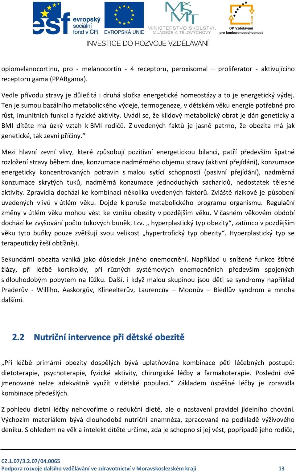 Ten je sumou bazálního metabolického výdeje, termogeneze, v dětském věku energie potřebné pro růst, imunitních funkcí a fyzické aktivity.