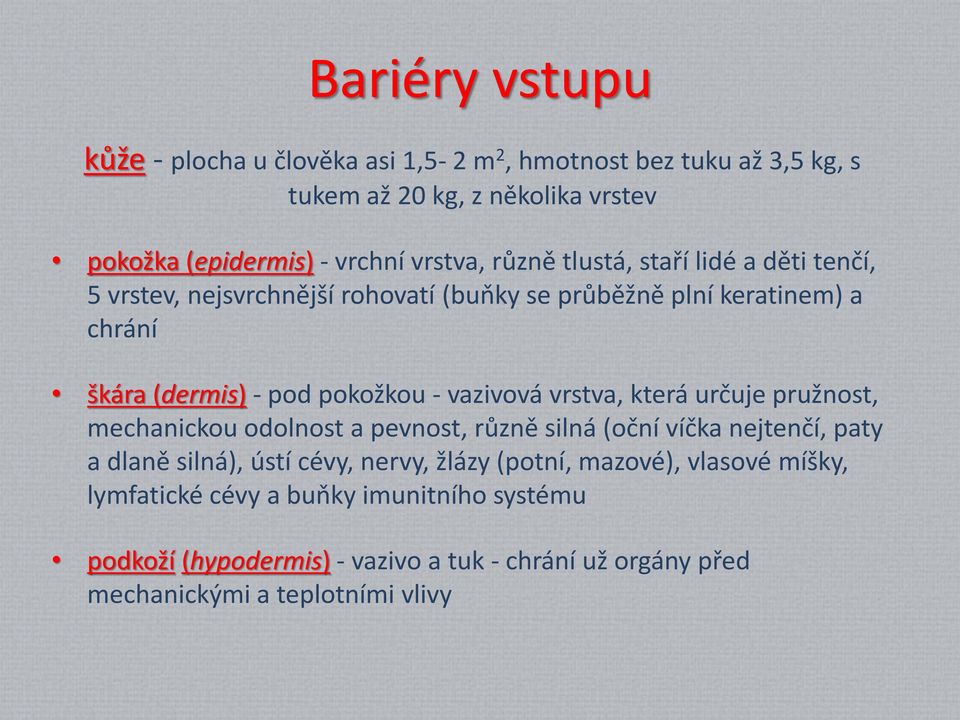 vazivová vrstva, která určuje pružnost, mechanickou odolnost a pevnost, různě silná (oční víčka nejtenčí, paty a dlaně silná), ústí cévy, nervy, žlázy