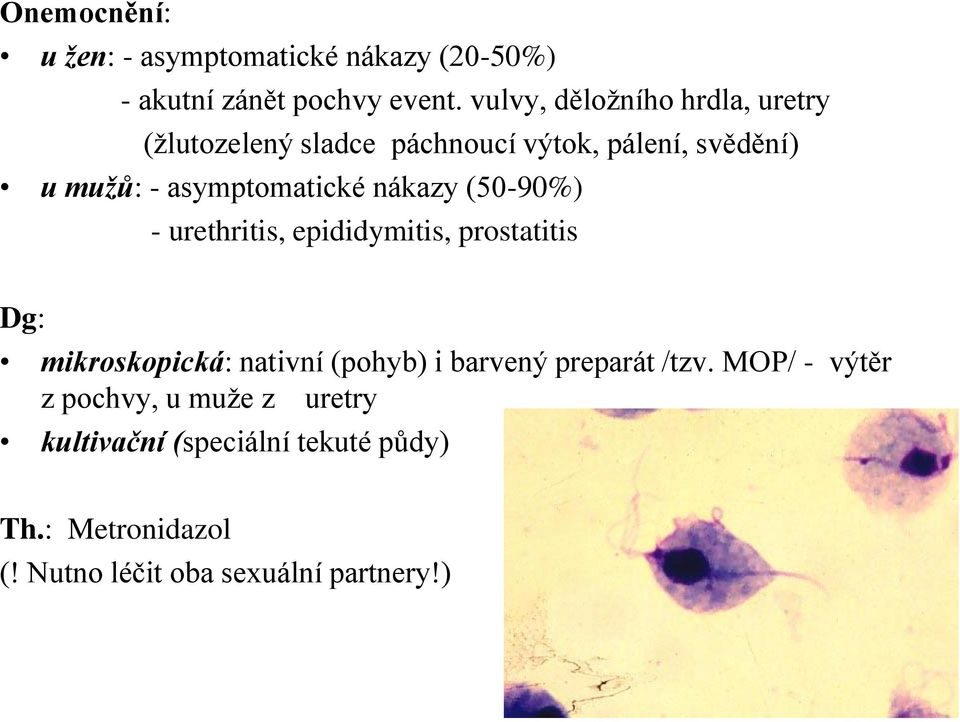 nákazy (50-90%) - urethritis, epididymitis, prostatitis Dg: mikroskopická: nativní (pohyb) i barvený preparát